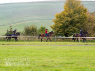 AK021025-39 - Believitanducan